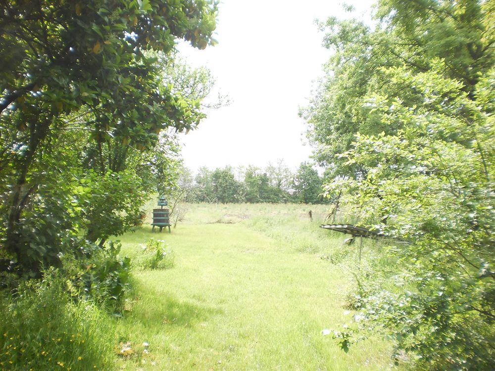 Green Fields Padova Kültér fotó