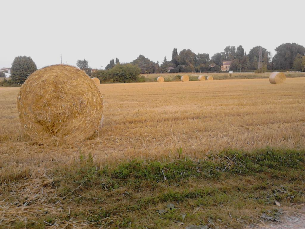 Green Fields Padova Kültér fotó
