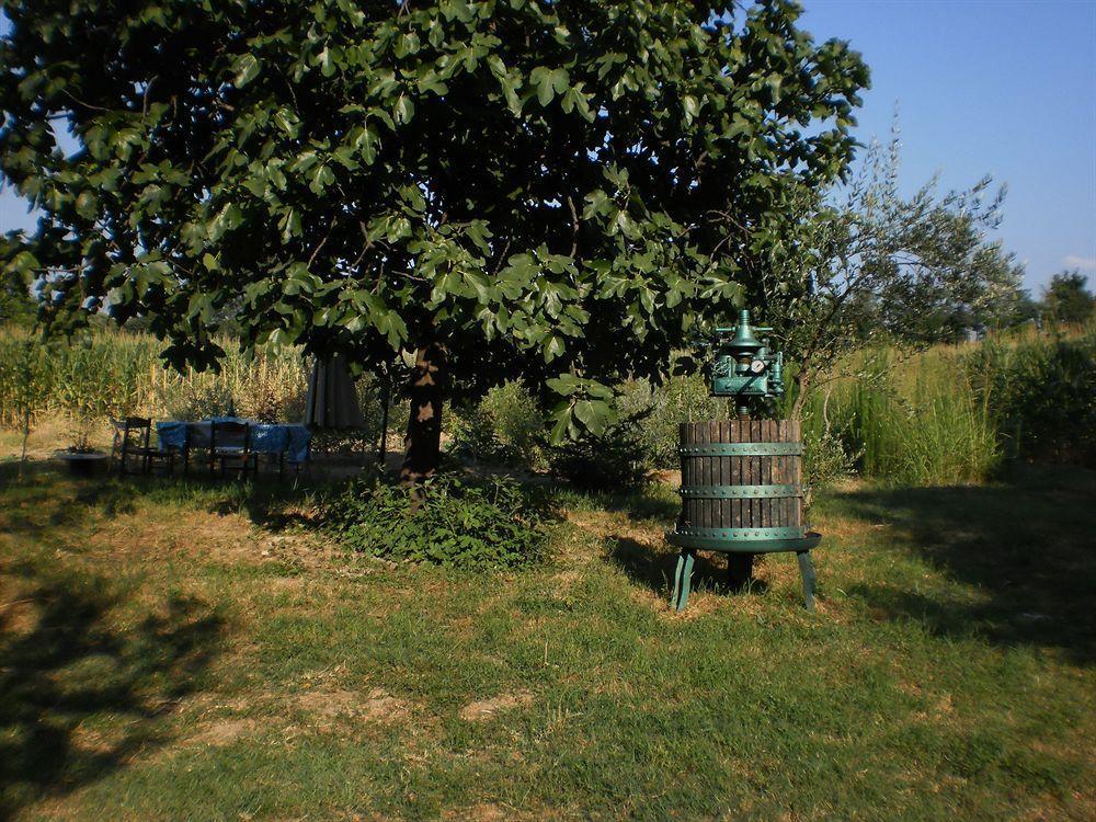 Green Fields Padova Kültér fotó